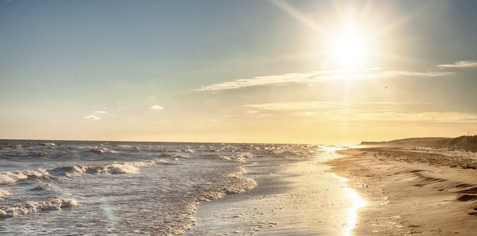 Header Hintergrund